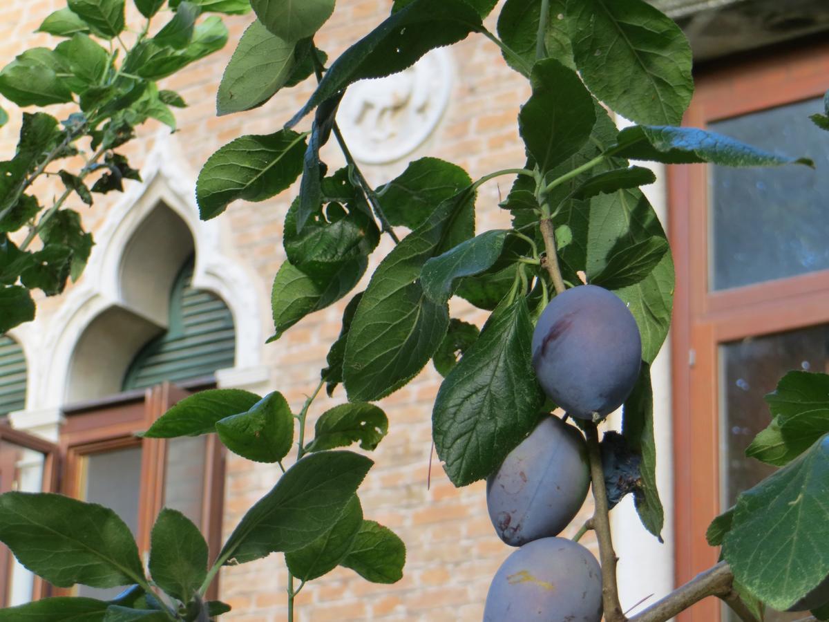 Villa Elisabetta Lido di Venezia Bagian luar foto